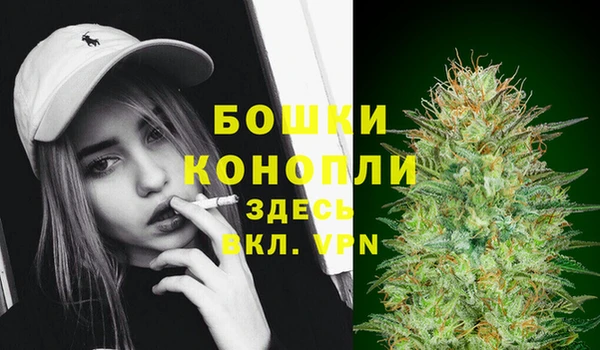 ECSTASY Липки