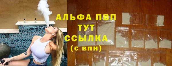 ECSTASY Липки
