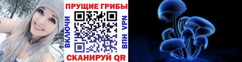 что такое   Ахтырский  Галлюциногенные грибы ЛСД 